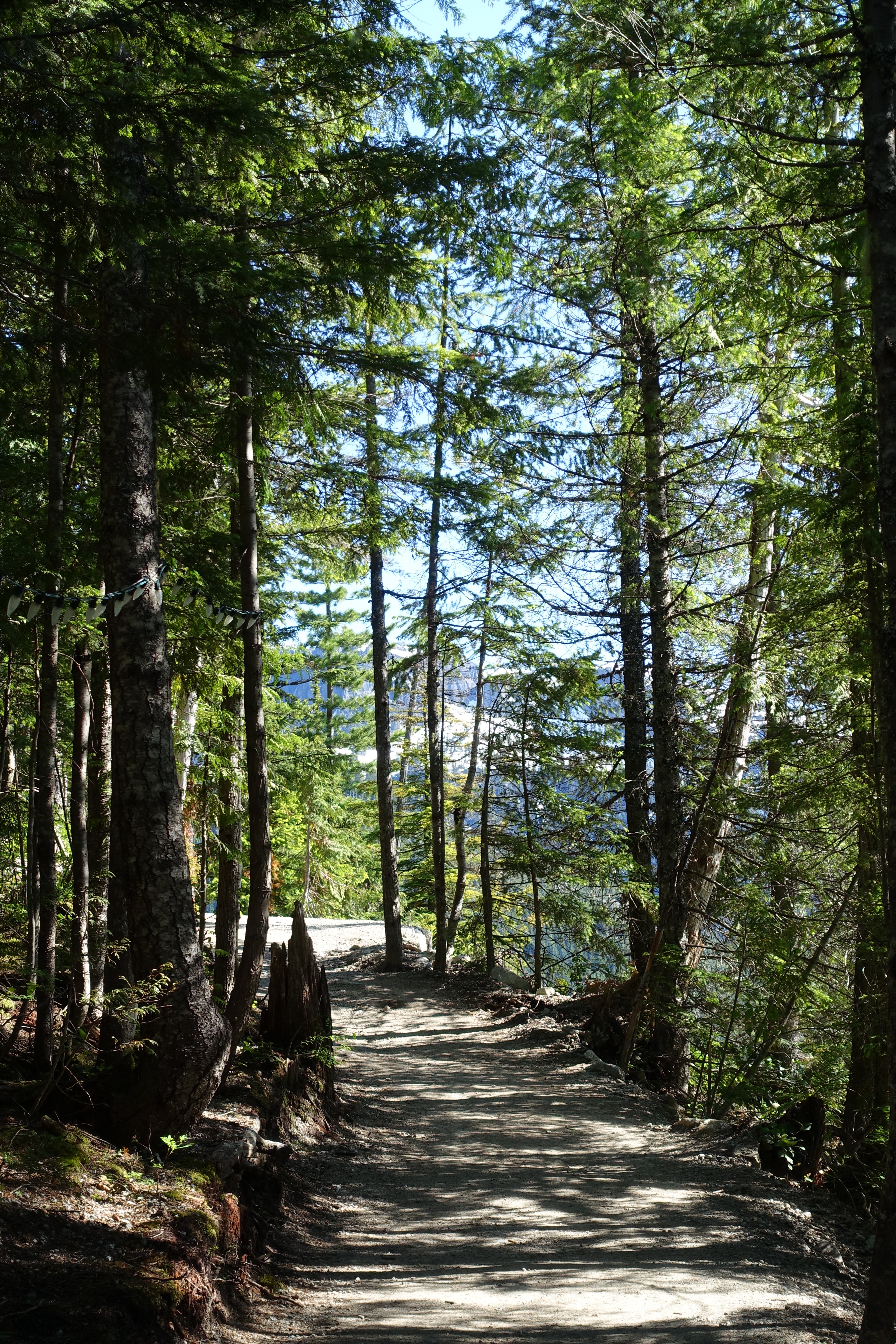 A full-size image example